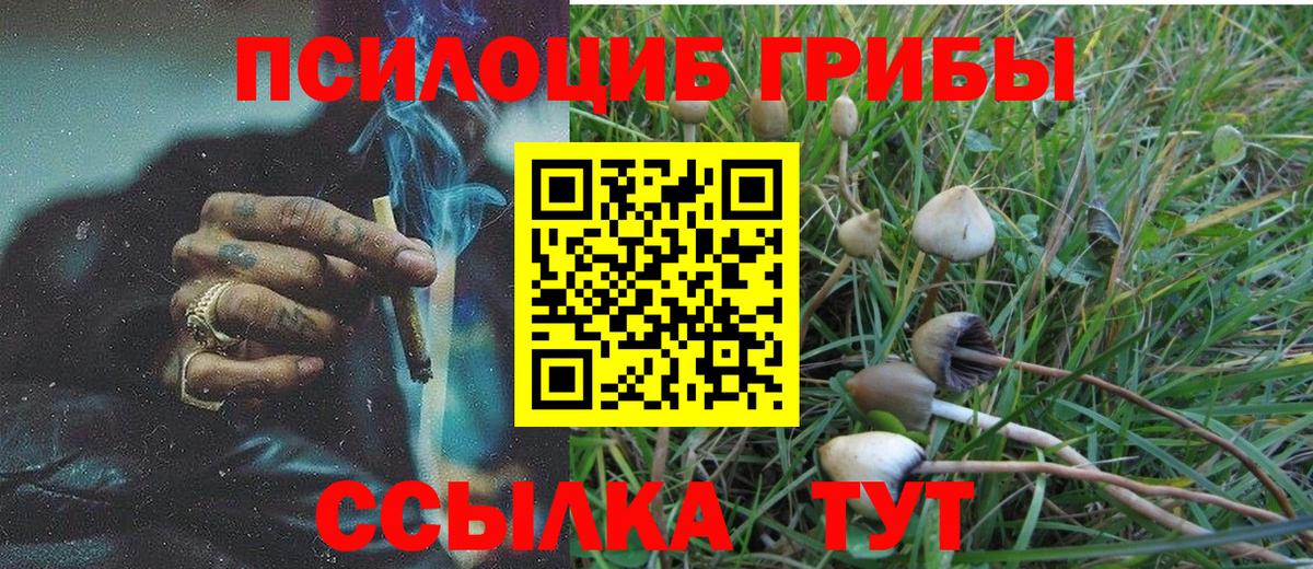 Галлюциногенные грибы Psilocybine cubensis  Вход с VPN  продажа наркотиков  Псилоцибиновые грибы мухоморы  Домодедово 